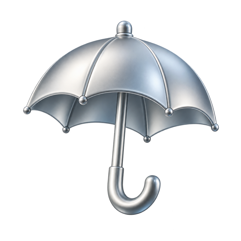 A satin silver umbrella, Sofron’s symbol for a cash buffer